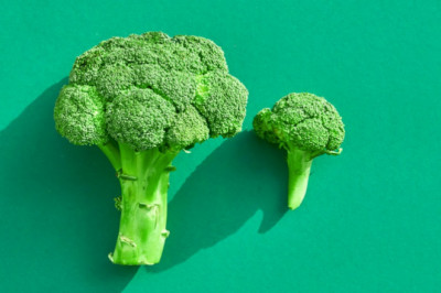 İngilizce Sebzeler Kelime Testi