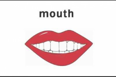 İngilizce Vücut Kelimeleri